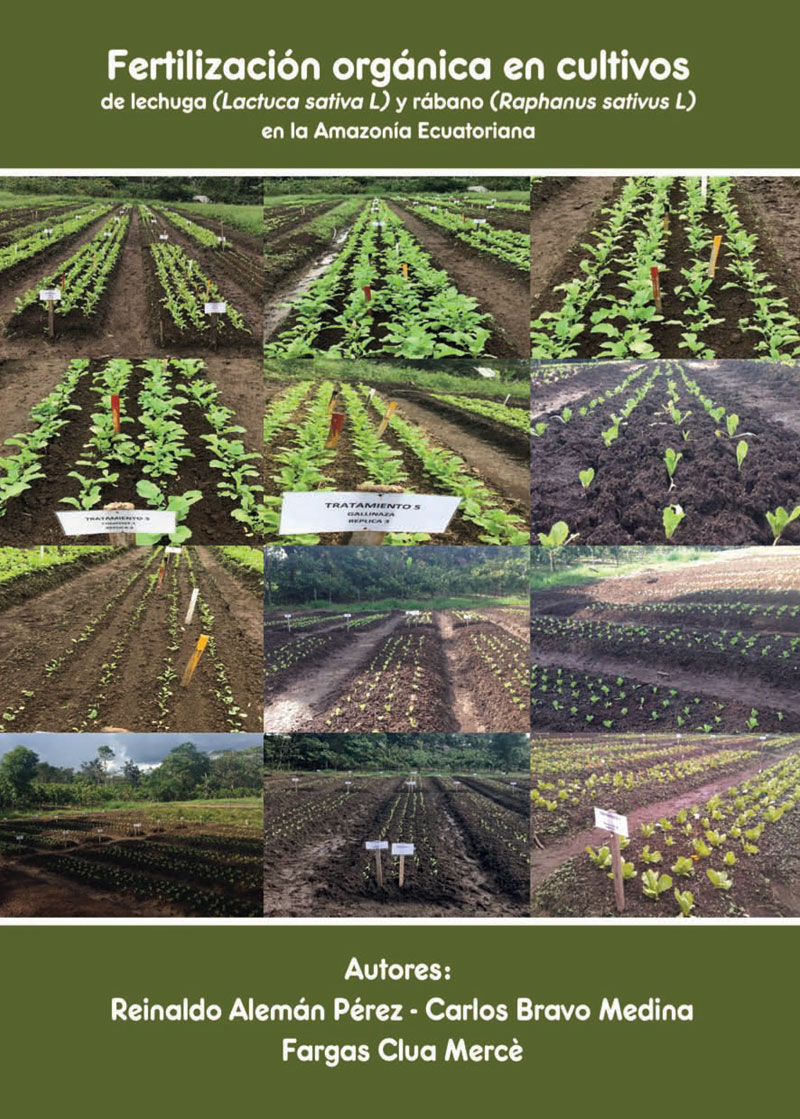 Socialización de resultados