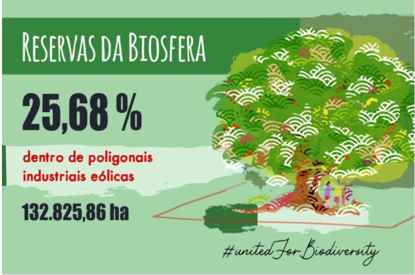 ESFRadio: Eólicos vs Biosfera