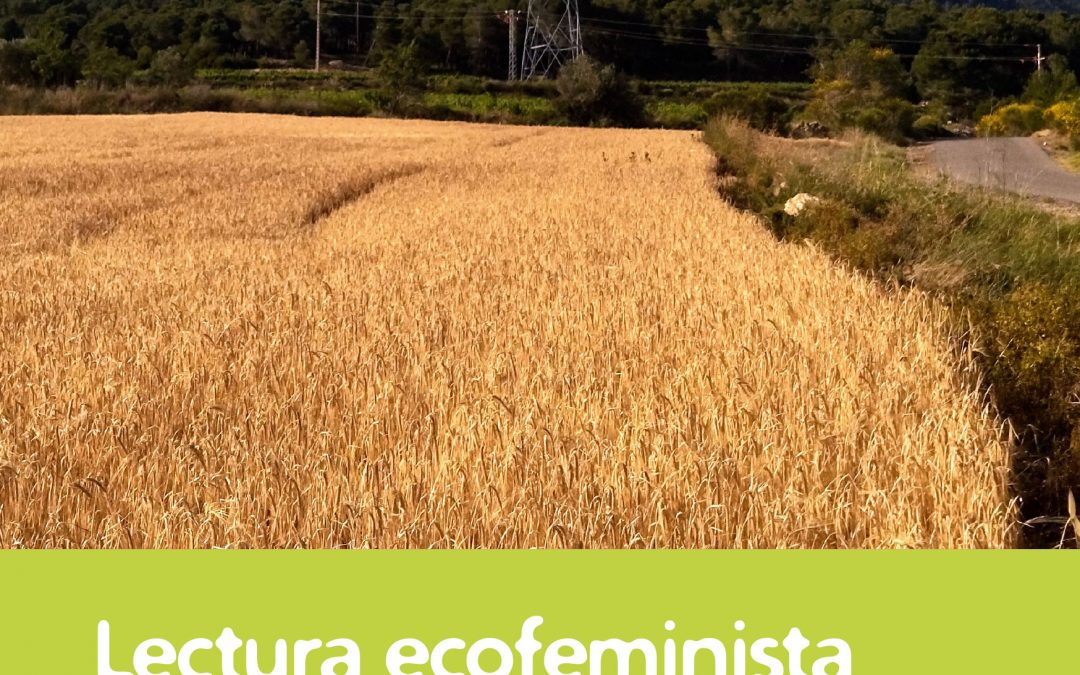 Esferes 36 Lectura ecofeminista dels conflictes energètics a Tarragona