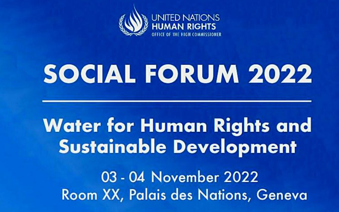 Participació en el Fòrum Social del Consell de Drets Humans de Nacions Unides sobre Aigua i Desenvolupament