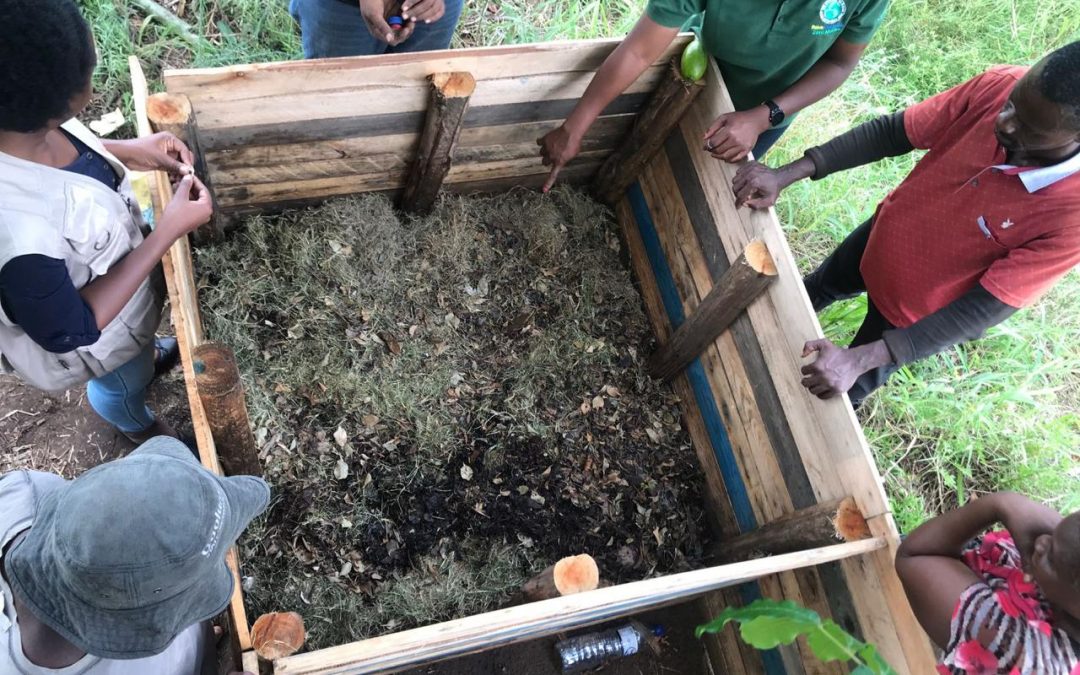 Vermicultura, nou mètode de compostatge per a l’Agricultura Periurbana de Maputo