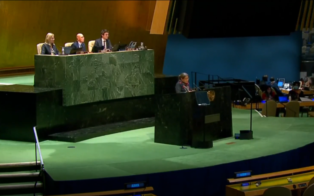 Presentem el Manifest per la Justícia de l’Aigua davant l’Assemblea General de l’ONU