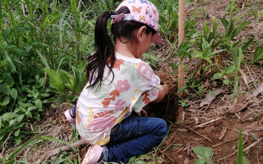 Comunidades Sostenibles: Restauración Ambiental en el Río La Florida, Orellana, Ecuador