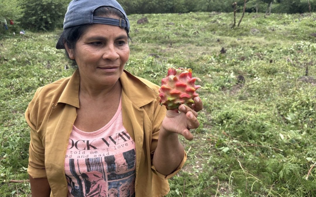 Crónicas de Honduras. Lorenzo. Segundas reflexiones en San Lorenzo: sintiéndome en casa