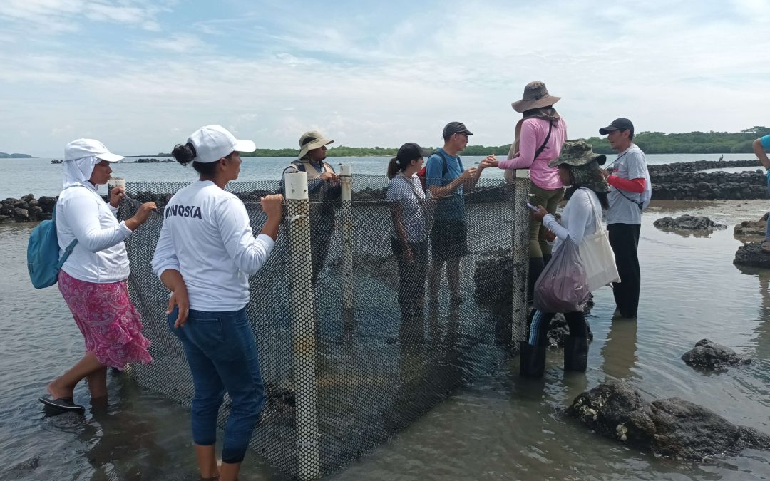 Visita expertas en xestión da pesca de Galicia a Honduras