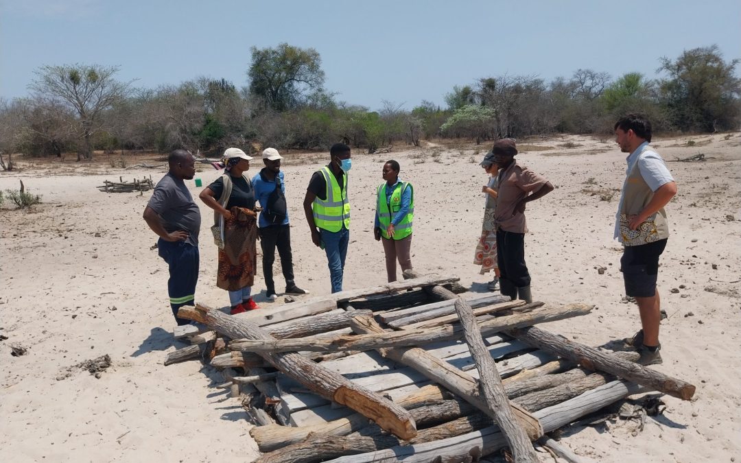 Set dies entre pous, abelles i comunitats: experiència del voluntariat PCR a Funhalouro, Moçambic