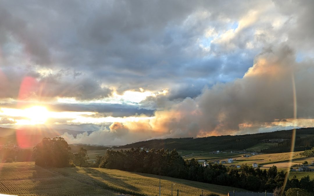¿Qué hacer con los incendios en Galicia? 5 expertas opinan