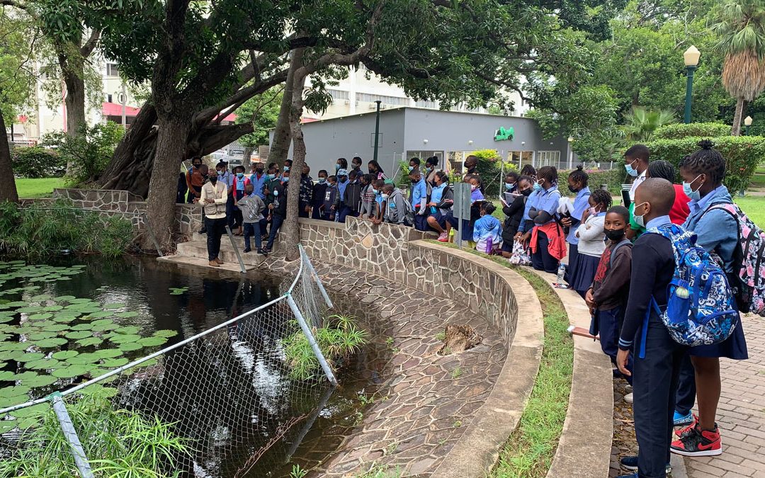 Educació ambiental i valors ecofeministes a Kambwkwana: una aposta per les noves generacions