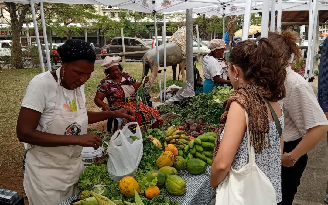 El mercat agroecològic de Maputo, resistències contra el mercat global