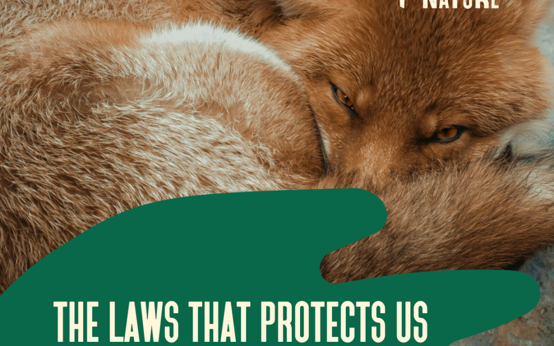 Defendamos el agua como un derecho: súmate a la campaña #HandsOffNature