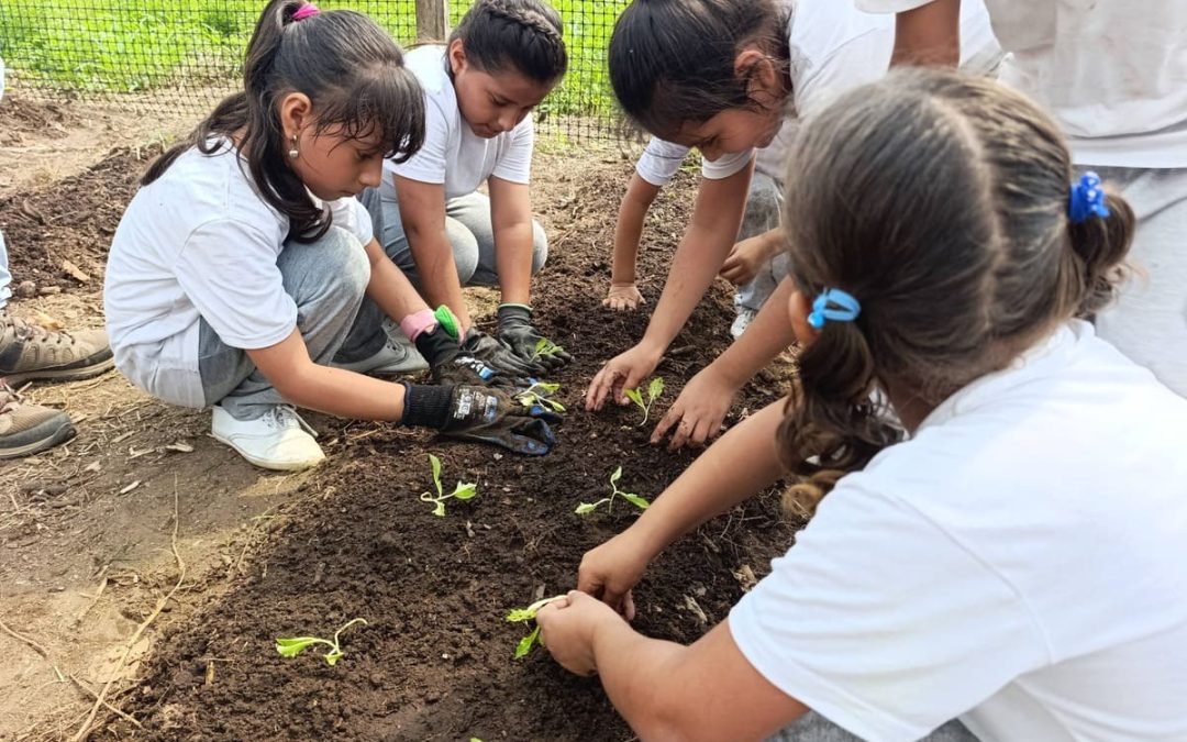 Orellana: cultivar horts per defensar drets