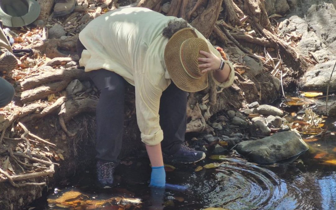 Investigación sobre salud en Honduras. ¿Por qué tanta enfermedad renal crónica?