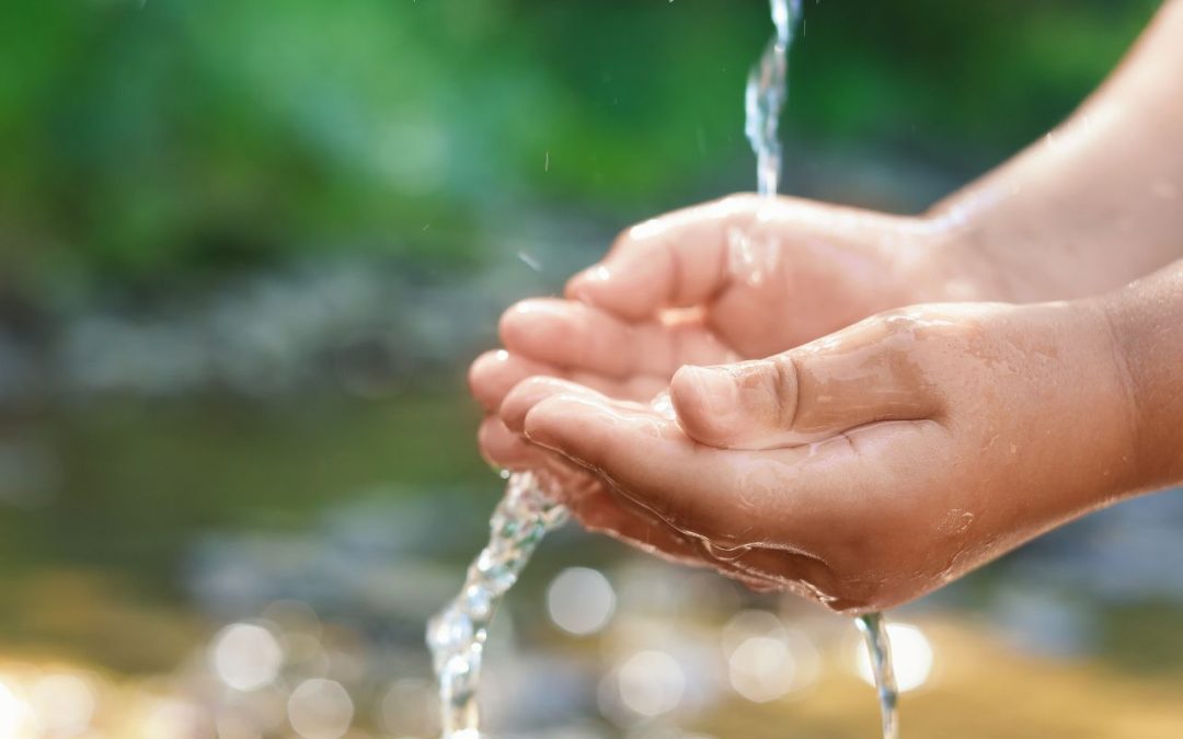 La Directiva Marco del Agua en revisión: ¿qué nos jugamos realmente?