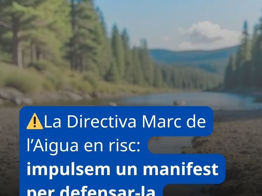 La Directiva Marc de l’Aigua en risc: impulsem un manifest per defensar-la