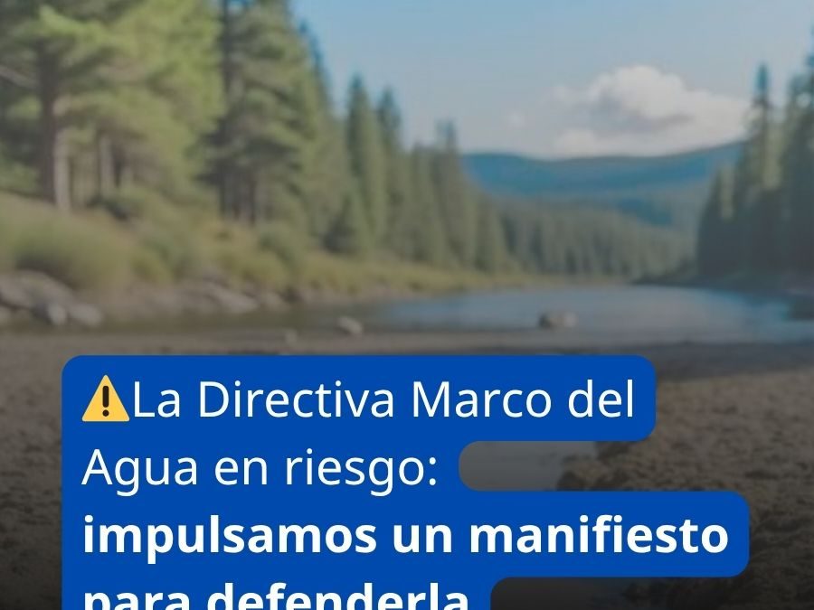La Directiva Marco del Agua en riesgo: impulsamos un manifiesto para defenderla