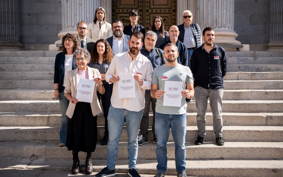 El municipalismo reclama la titularidad pública de la red eléctrica