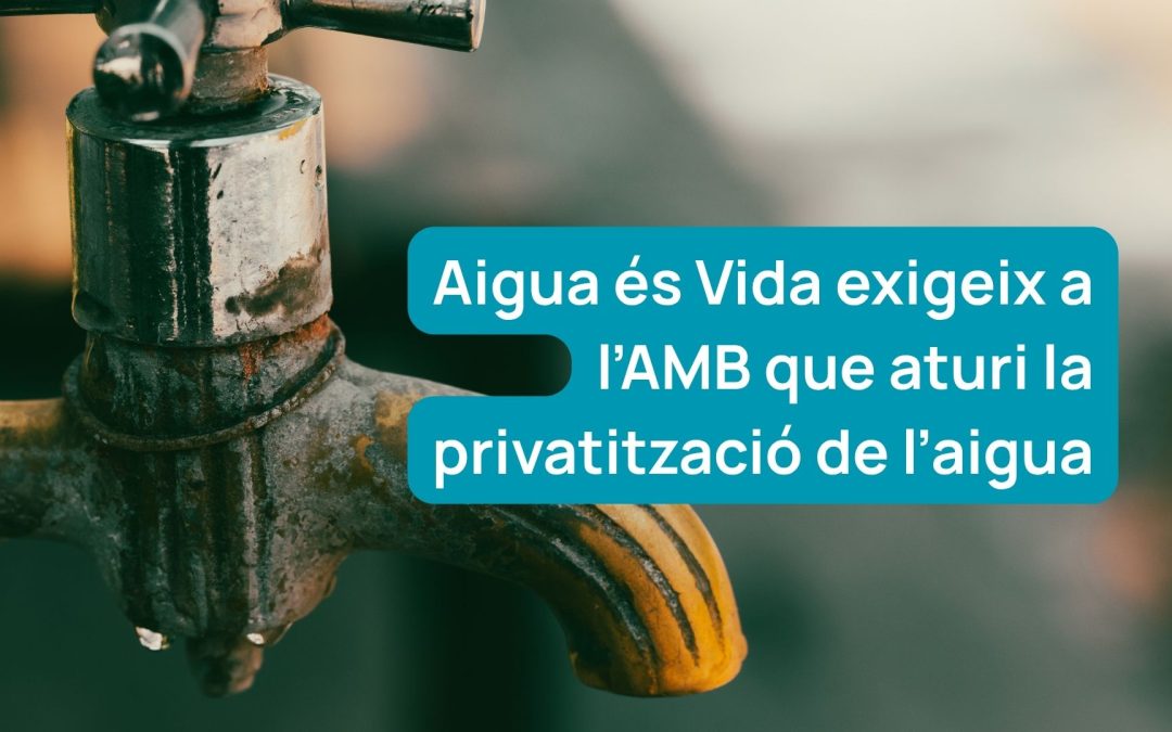 Aigua és Vida exigeix a l’AMB que aturi la privatització de l’aigua